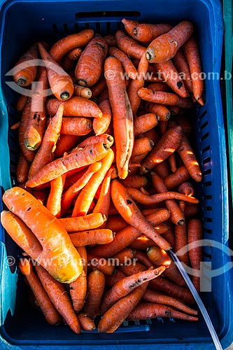  Detalhe de cenouras à venda na Feira Orgânica da Lagoa da Conceição  - Florianópolis - Santa Catarina (SC) - Brasil
