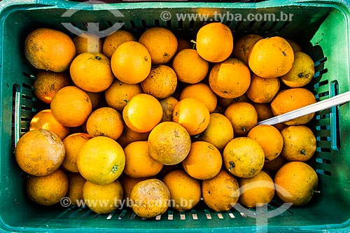 Detalhe de tangerina (Citrus reticulata) - também conhecida como bergamota, vergamota ou mexerica - à venda na Feira Orgânica da Lagoa da Conceição  - Florianópolis - Santa Catarina (SC) - Brasil