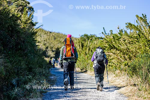  Turistas durante a trilha do Morro do Couto no Parque Nacional de Itatiaia  - Itatiaia - Rio de Janeiro (RJ) - Brasil