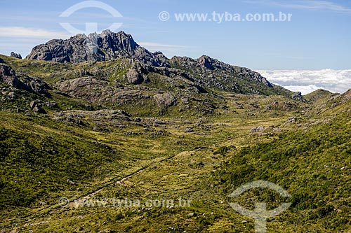  Vista do Pico das Agulhas Negras durante a trilha do Morro do Couto no Parque Nacional de Itatiaia  - Itatiaia - Rio de Janeiro (RJ) - Brasil