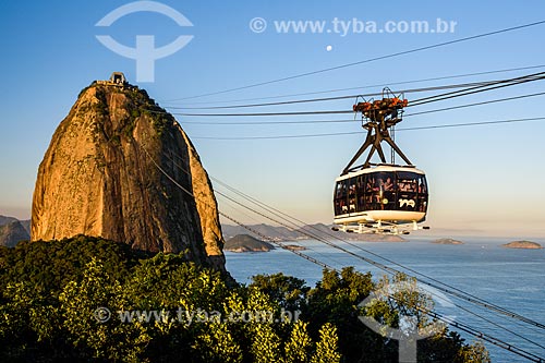  Bondinho fazendo a travessia entre o Morro da Urca e o Pão de Açúcar  - Rio de Janeiro - Rio de Janeiro (RJ) - Brasil