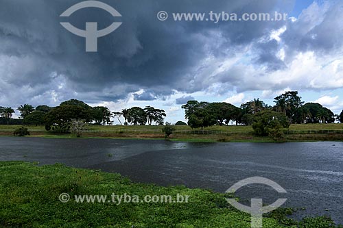  Vista do Paraná da Princesa - braço do Rio Amazonas - a partir do Clube Coca-Cola (antigo Clube Kuat)  - Parintins - Amazonas (AM) - Brasil