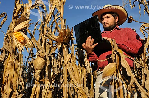  Agricultor com laptop durante a colheita mecanizada de milho  - Mirassol - São Paulo (SP) - Brasil
