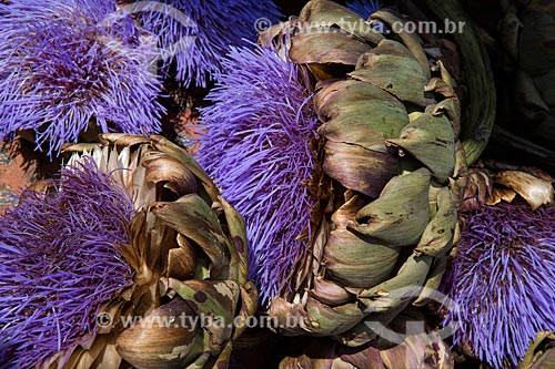  Detalhe de flor da alcachofra (Cynara cardunculus)  - Isle Sur La Sorgues - Departamento de Vaucluse - França