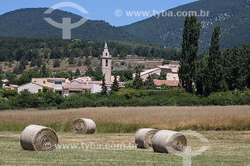 Colheita do feno com a cidade de Saumane ao fundo  - Saumane - Departamento de Alpes da Alta Provença - França