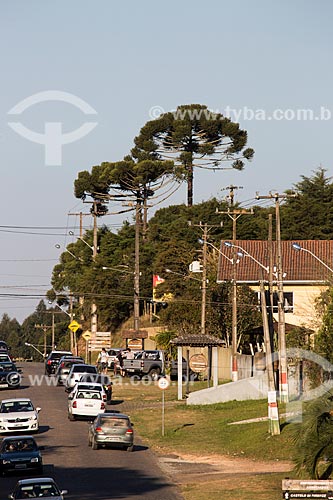  Rua Júlio Cesar Setenareski na Colônia Italiana do Mergulhão  - São José dos Pinhais - Paraná (PR) - Brasil