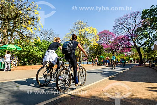  Ciclistas na ciclovia do Parque do Ibirapuera com Ipê-Amarelo e Ipê Rosa (Tabebuia heptaphylla) ao fundo  - São Paulo - São Paulo (SP) - Brasil