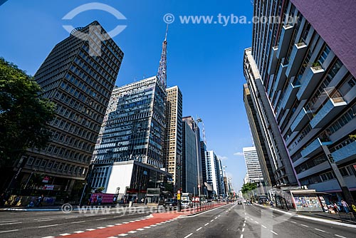  Prédios na Avenida Paulista  - São Paulo - São Paulo (SP) - Brasil