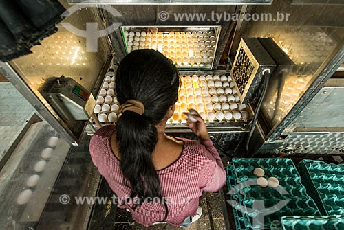  Embalagem de ovos em avícola  - Gália - São Paulo (SP) - Brasil