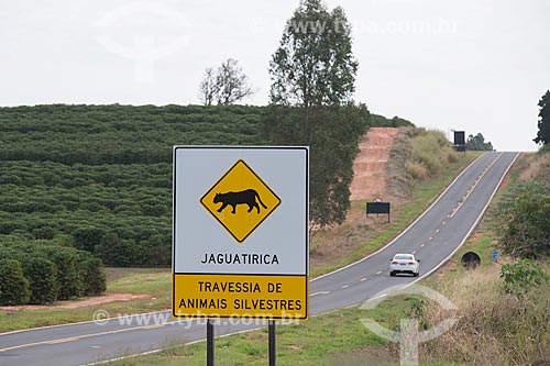  Placa de sinalização sobre travessia de animais silvestres na rodovia SP-331  - Alvinlândia - São Paulo (SP) - Brasil