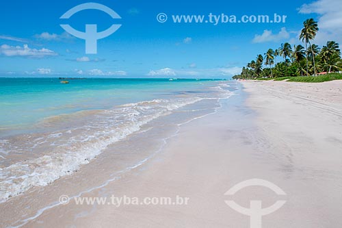  Vista geral da orla da Praia Ponta de Mangue  - Maragogi - Alagoas (AL) - Brasil