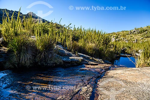  Trilha entre o Pico das Agulhas Negras e a Asa de Hermes no Parque Nacional de Itatiaia  - Itatiaia - Rio de Janeiro (RJ) - Brasil