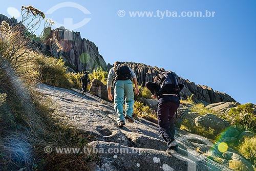  Trilha entre o Pico das Agulhas Negras e a Asa de Hermes no Parque Nacional de Itatiaia  - Itatiaia - Rio de Janeiro (RJ) - Brasil