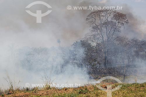  Incêndio às margens da Avenida Perimetral Norte (GO-070) durante o período de seca  - Goiânia - Goiás (GO) - Brasil
