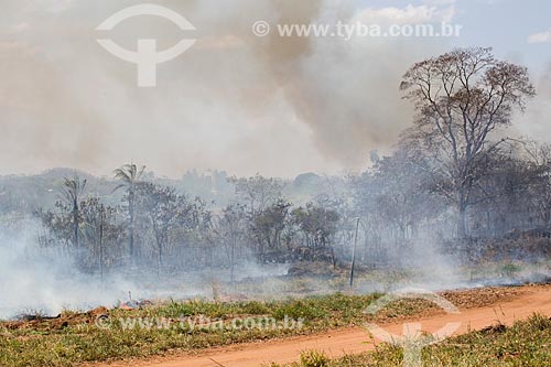  Incêndio às margens da Avenida Perimetral Norte (GO-070) durante o período de seca  - Goiânia - Goiás (GO) - Brasil