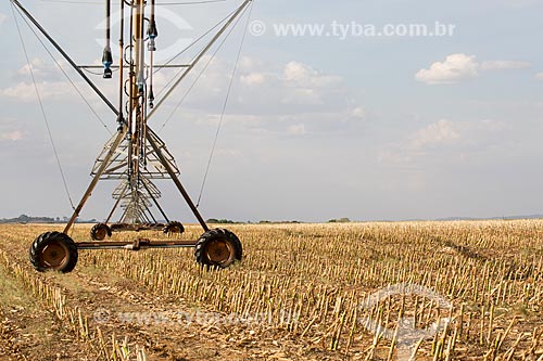  Irrigação com pivô central em plantação de cana-de-açúcar próximo a cidade de Itaberaí  - Itaberaí - Goiás (GO) - Brasil