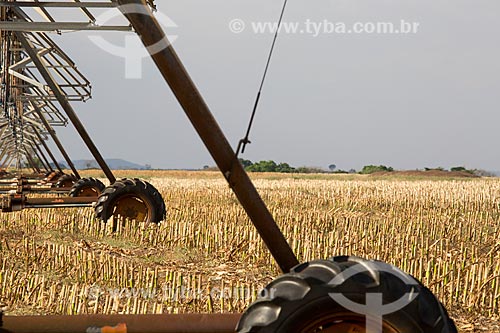  Irrigação com pivô central em plantação de cana-de-açúcar próximo a cidade de Itaberaí  - Goiânia - Goiás (GO) - Brasil