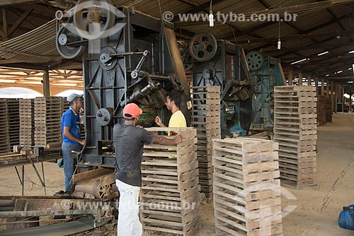  Fabricação de telhas na olaria Cerâmica Goiana  - Ourilândia do Norte - Pará (PA) - Brasil