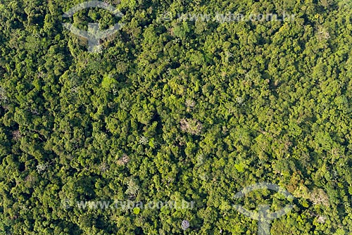  Foto aérea da Floresta Amazônica  - São Félix do Xingu - Pará (PA) - Brasil