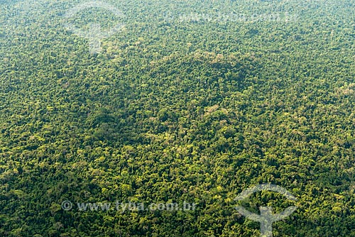  Foto aérea da Floresta Amazônica  - São Félix do Xingu - Pará (PA) - Brasil