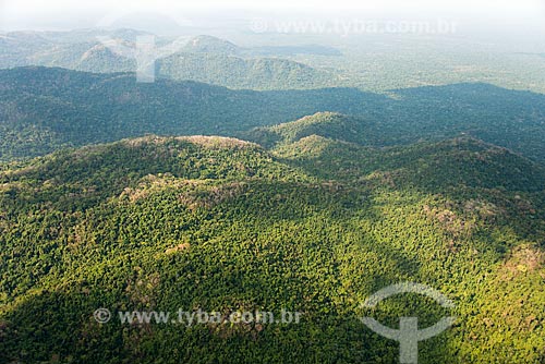  Foto aérea da Floresta Amazônica  - São Félix do Xingu - Pará (PA) - Brasil