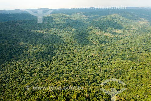  Foto aérea da Floresta Amazônica  - São Félix do Xingu - Pará (PA) - Brasil