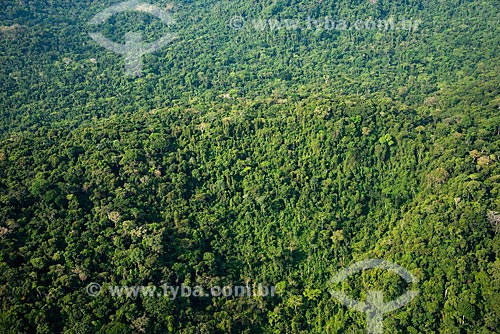  Foto aérea da Floresta Amazônica  - São Félix do Xingu - Pará (PA) - Brasil