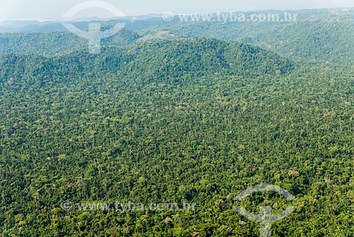  Foto aérea da Floresta Amazônica  - São Félix do Xingu - Pará (PA) - Brasil