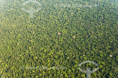  Foto aérea da Floresta Amazônica  - São Félix do Xingu - Pará (PA) - Brasil