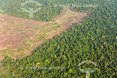  Foto aérea de trecho de floresta amazônica desmatada para pastagem  - Tucumã - Pará (PA) - Brasil