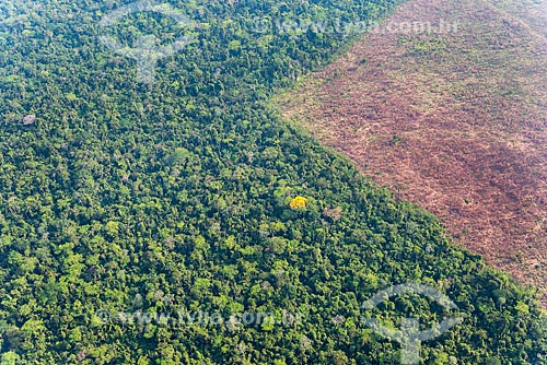  Foto aérea de trecho de floresta amazônica desmatada para pastagem  - Tucumã - Pará (PA) - Brasil