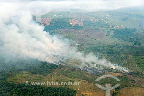  Foto aérea de queimada na floresta amazônica para pastagem  - Tucumã - Pará (PA) - Brasil