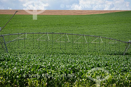  Sistema de irrigação em plantação de milho  - Alto Paraíso de Goiás - Goiás (GO) - Brasil