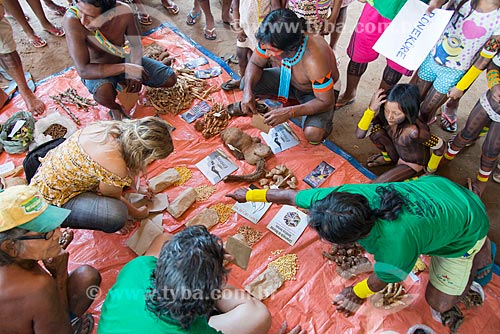  Sementes disponíveis para troca na Feira de troca de sementes da Aldeia Moikarakô - Terra Indígena Kayapó - com a participação de outras tribos e etnias  - São Félix do Xingu - Pará (PA) - Brasil