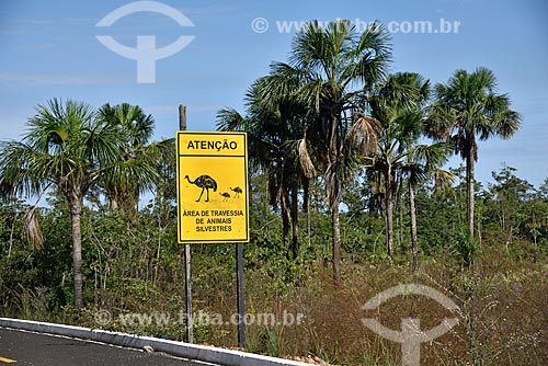  Placa indicando a travessia de animais silvestres na Rodovia GO-239 próximo ao Parque Nacional da Chapada dos Veadeiros  - Alto Paraíso de Goiás - Goiás (GO) - Brasil