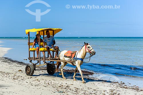  Passeio de charrete na orla da Praia do Encanto  - Cairu - Bahia (BA) - Brasil