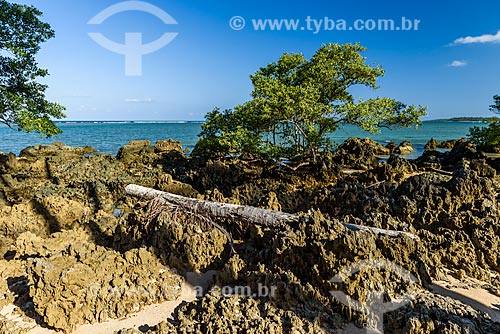  Rochedos na orla da Praia de Moreré  - Cairu - Bahia (BA) - Brasil