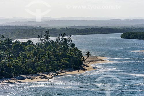  Vista geral de coqueiros na Costa do Dendê  - Cairu - Bahia (BA) - Brasil