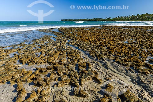  Vista da orla da Praia de Bainema  - Cairu - Bahia (BA) - Brasil