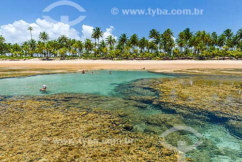  Piscinas naturais da Praia de taipús de fora  - Maraú - Bahia (BA) - Brasil