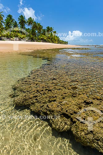  Piscinas naturais da Praia de taipús de fora  - Maraú - Bahia (BA) - Brasil