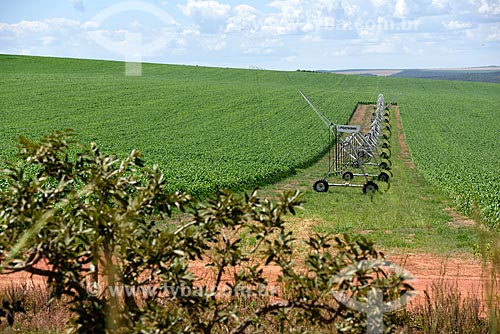  Sistema de irrigação em plantação de milho  - Alto Paraíso de Goiás - Goiás (GO) - Brasil
