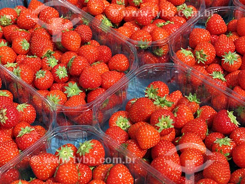  Caixas de morango à venda no Albert Cuyp Markt  - Amsterdam - Holanda do Norte - Holanda