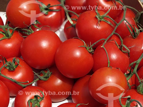  Tomate-holandês à venda no Albert Cuyp Markt  - Amsterdam - Holanda do Norte - Holanda