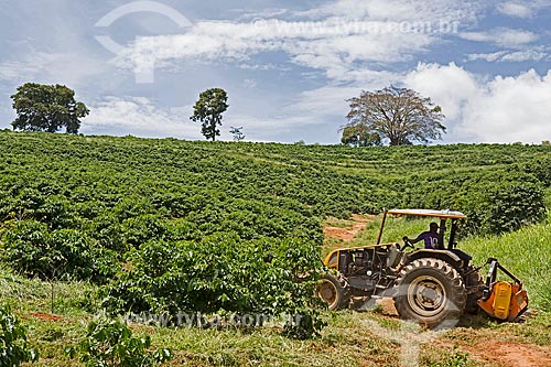  Roçadeira trincha próximo à plantação de café na Fazenda Serra Azul  - Carmo de Minas - Minas Gerais (MG) - Brasil