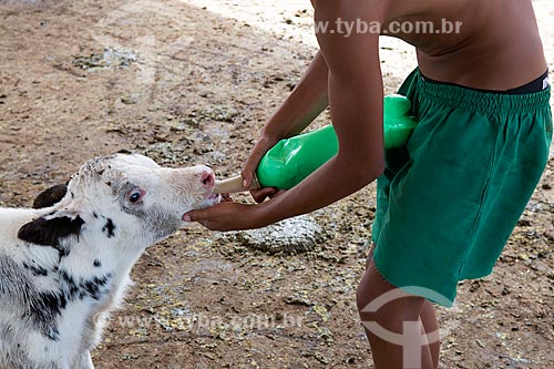  Menino dando leite à um bezerro na Fazenda Serra Azul  - Carmo de Minas - Minas Gerais (MG) - Brasil