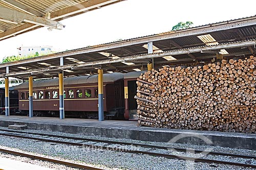  Estoque de lenha usada na locomotiva - Estação Ferroviária de São Lourenço  - São Lourenço - Minas Gerais (MG) - Brasil