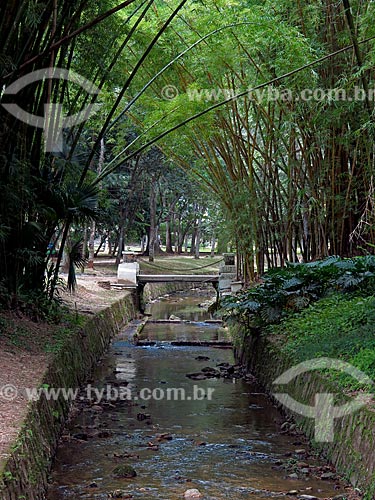  Canal do Rio dos Macacos no Jardim Botânico do Rio de Janeiro  - Rio de Janeiro - Rio de Janeiro (RJ) - Brasil