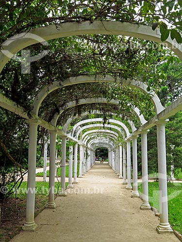  Pérgola no Jardim Botânico do Rio de Janeiro  - Rio de Janeiro - Rio de Janeiro (RJ) - Brasil