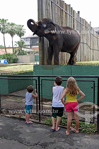  Crianças próximas a jaula do elefante no Jardim Zoológico do Rio de Janeiro  - Rio de Janeiro - Rio de Janeiro (RJ) - Brasil